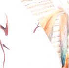 Tropic Branco